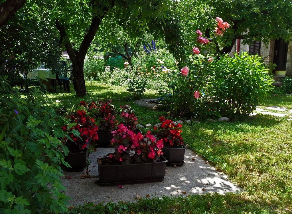 Guest house La Vecchia Casa 3*